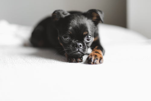 Determination